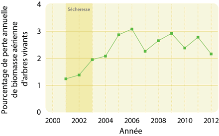 Figure 1 – Graphique montrant les tendances de la mortalité des trembles dans l'Ouest canadien au cours de la période 2001-2012 résultant de la grave sécheresse de 2001-2002.