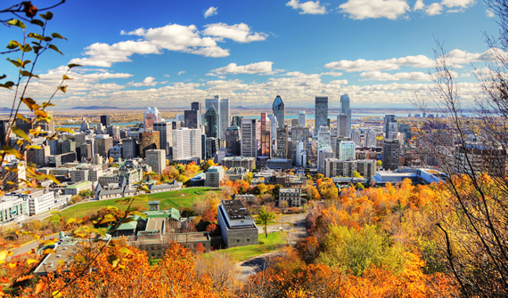 Paysage urbain à Montréal, au Québec, comptant une forêt urbaine aux couleurs de l’automne.