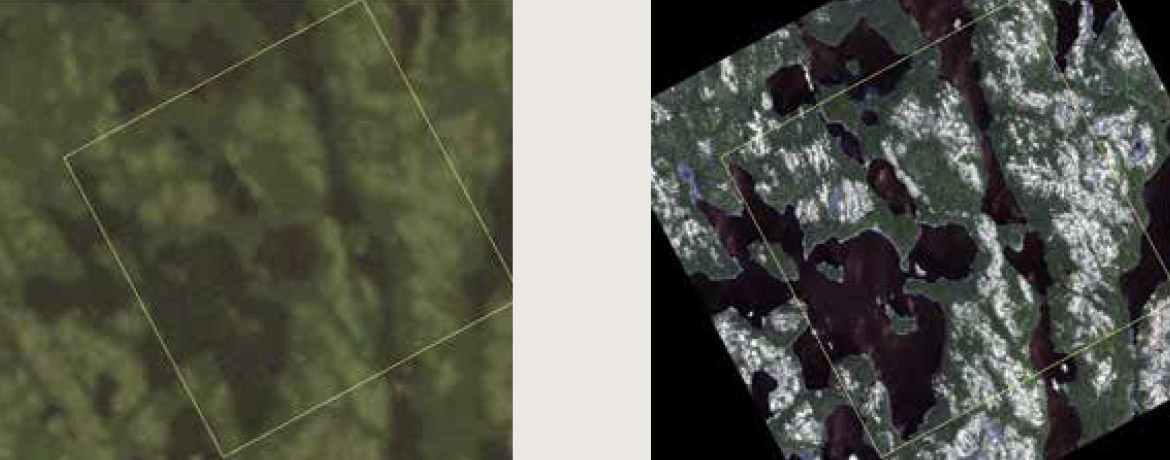 Image montrant l’augmentation de la qualité des images satellites pour améliorer l’estimation des caractéristiques des forêts canadiennes.