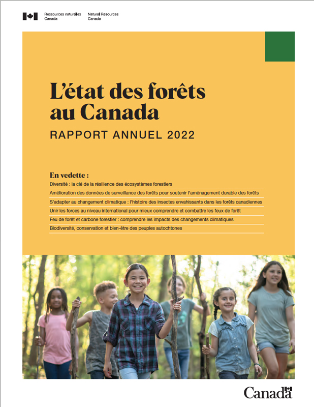Report cover