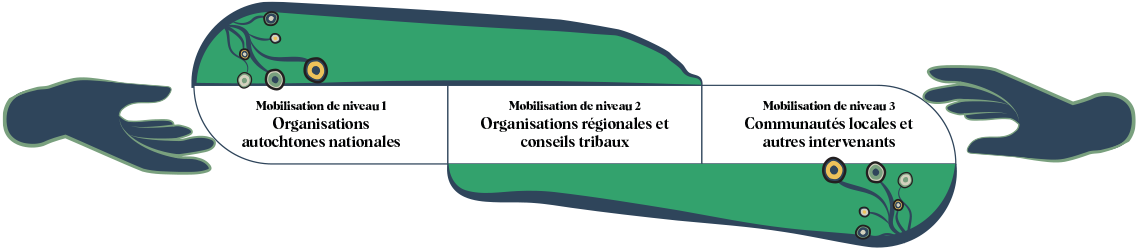 Diagramme montrant la mobilisation à plusieurs niveaux avec les peuples autochtones. Le niveau 1 est au sommet avec les organisations autochtones nationales. Le niveau 2 est suivi par les organisations régionales et les conseils tribaux. Le niveau 3 se situe au bas de l'échelle, avec les collectivités locales et les autres parties prenantes.