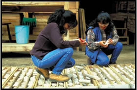 deux femmes regardant une collection d'échantillons de forage