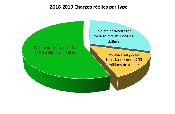2018-2019 Charges réelles par type (en millions de dollars), décrit ci-dessous.