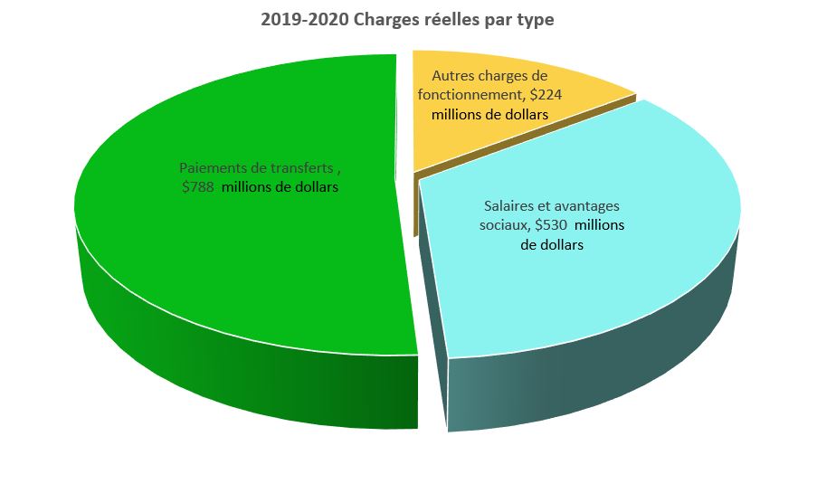 2019-2020 Charges réelles par type (en millions de dollars), décrit ci-dessous.