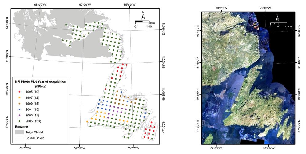 Deux graphiques. À gauche : carte en noir et blanc de Terre-Neuve-et-Labrador où les placettes photos sont indiquées par des points colorés. À droite : image réaliste en couleur, à partir des données Landsat.