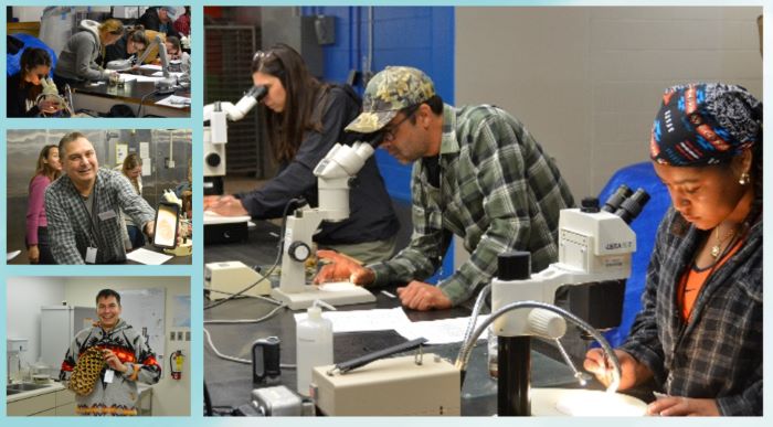 Groupes de personnes travaillant avec des microscopes dans un environnement de type laboratoire.