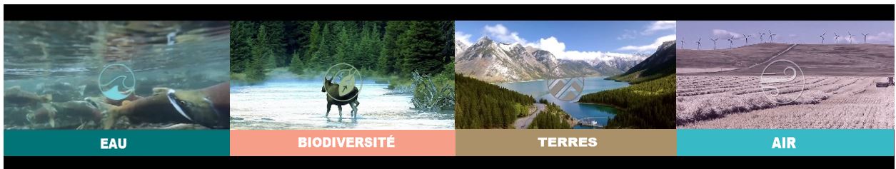 Image de montage de quatre aspects sur lesquels les effets cumulatifs peuvent avoir des impacts. Texte à l’écran : eau, biodiversité, terre, air. 