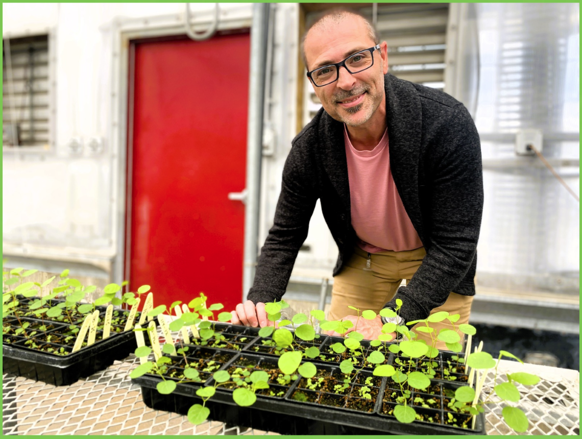 Homme souriant à l’appareil photo derrière un plateau de plants de pédiculaire de Furbish.