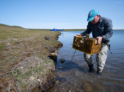 Trois photos du chercheur Scott Dallimore au travail dans l’Arctique canadien.