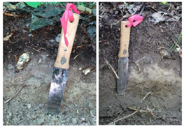 Comparaison côte à côte d'un outil inséré dans le sol, l'un dans une zone où il y a des vers de terre, l'autre dans une zone qui n'en a pas.