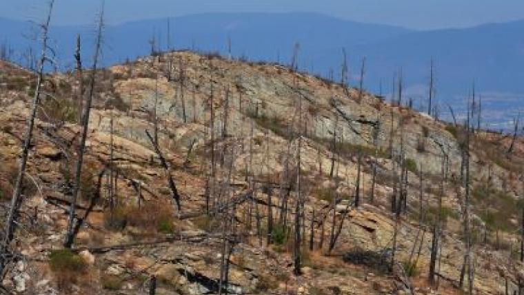 Incendies de forêt d’une ampleur record au Canada en 2023 : un réveil brûlant